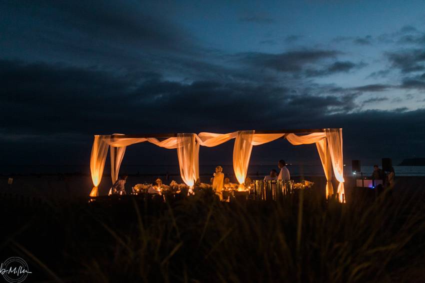 Hotel Del Beach Wedding