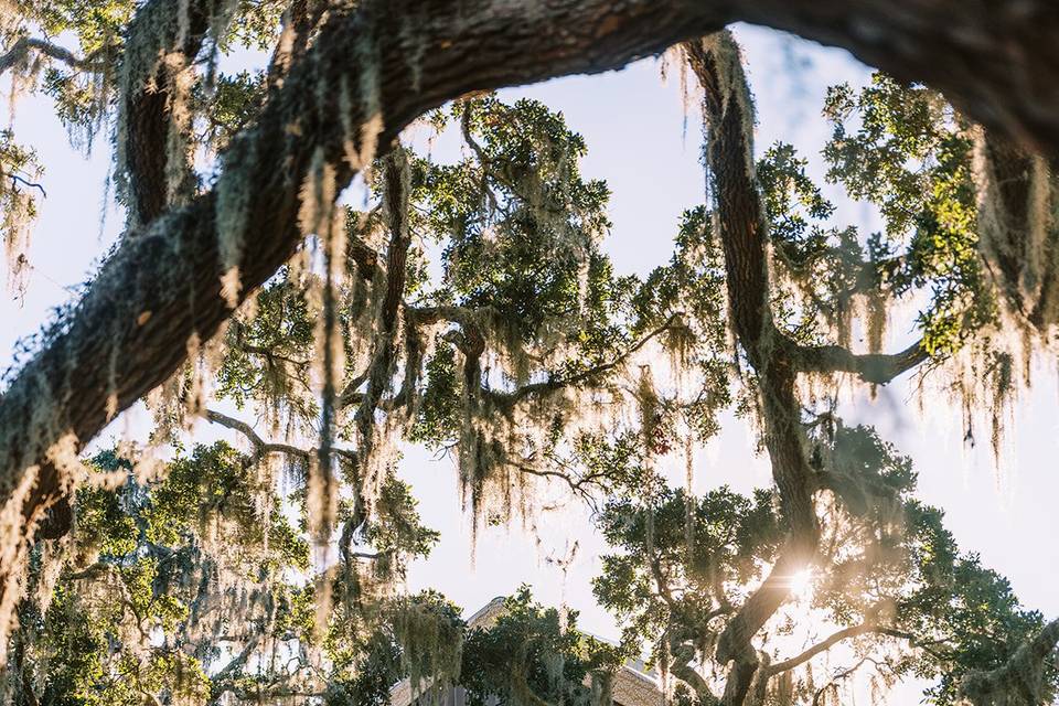 Kiawah River