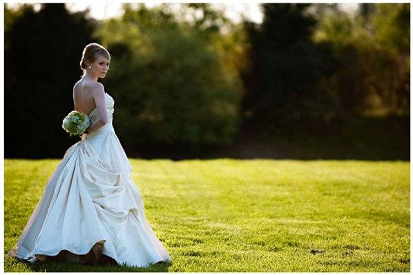 Field - David Payne Photography
