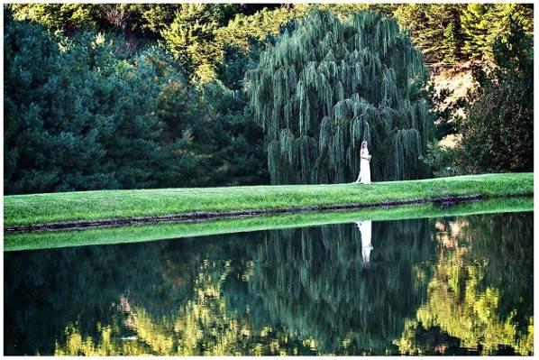 A reflective pond - David Payne Photography