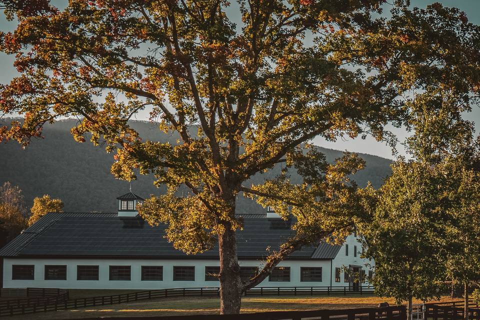 Barn Wedding Venue