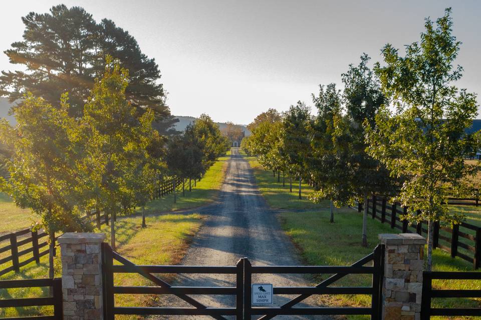 Welcoming Gates