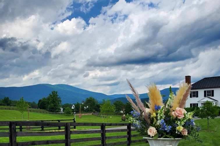 Ceremony Views