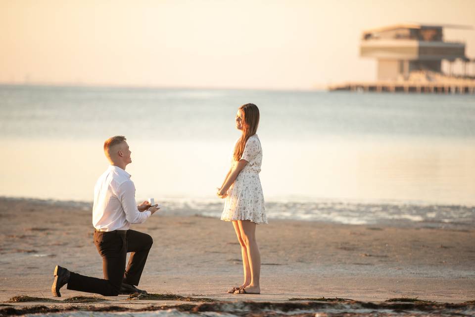 Proposal