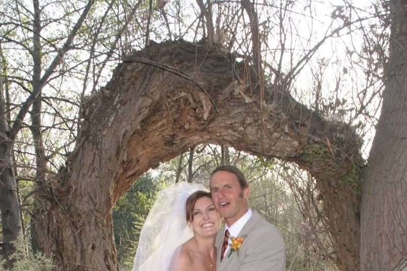 Under a sedona tree