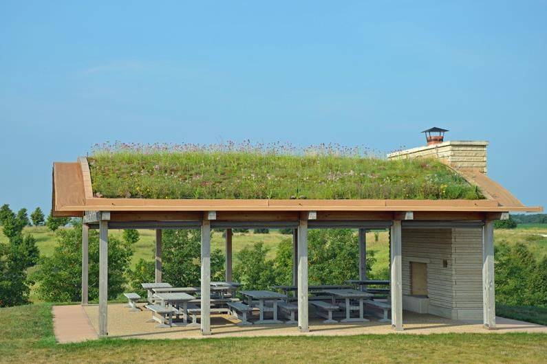 Living roof Pavilion