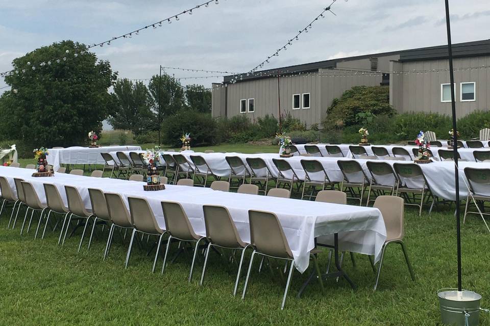 Reception on the lawn