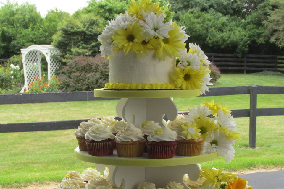 CupCakin