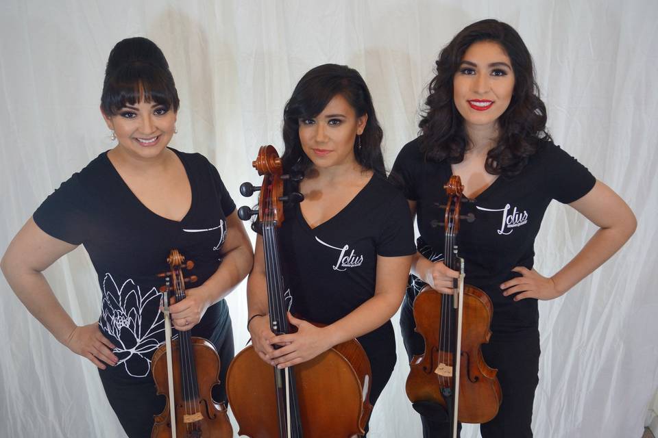 Lotus String Quartet