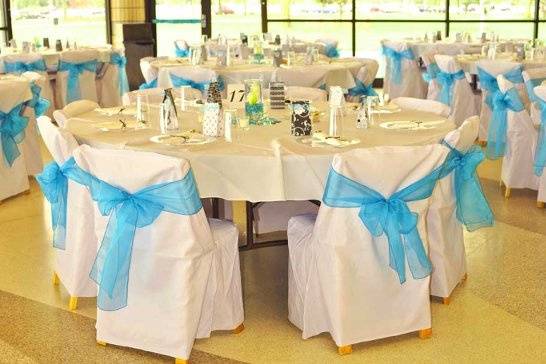 Kosch Catering offers linens and chair covers to compliment your chosen decor. Build a strategy for your entire motif with our professional event planner who can integrate design and splendor at your event.
