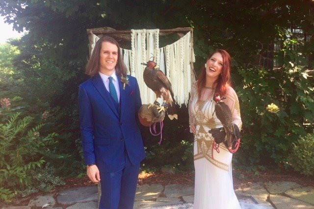 Hawks at the wedding