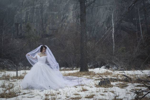 Mist & Moonlight Photography