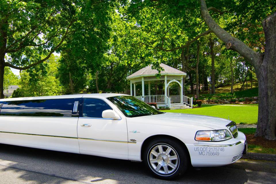 Michael's Limousine Co., Inc.