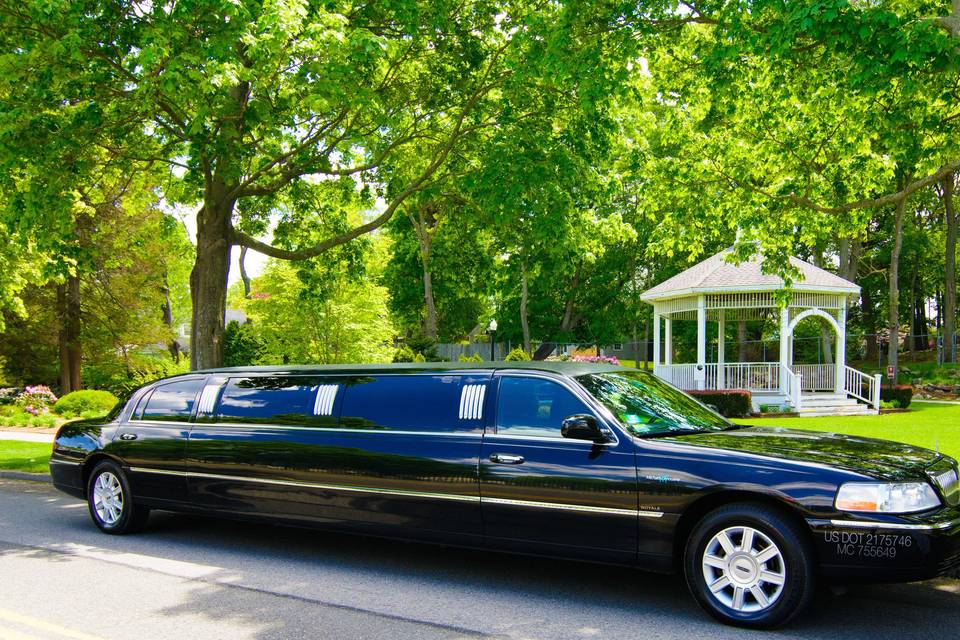 10 Passenger Stretch Limo