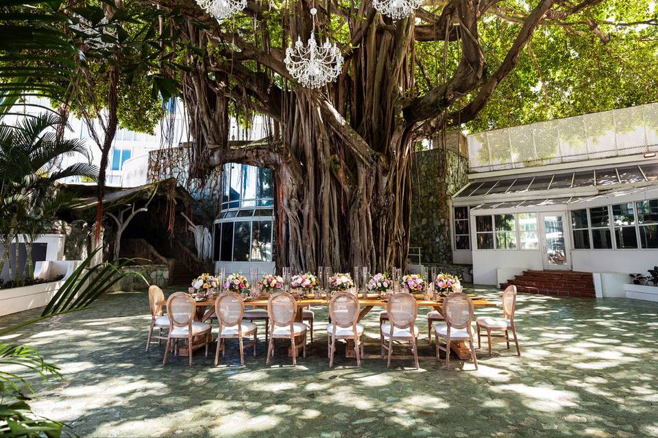 Banyan Tree  Wedding
