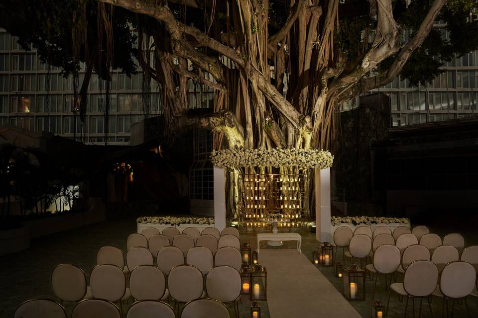 Banyan Tree Ceremony
