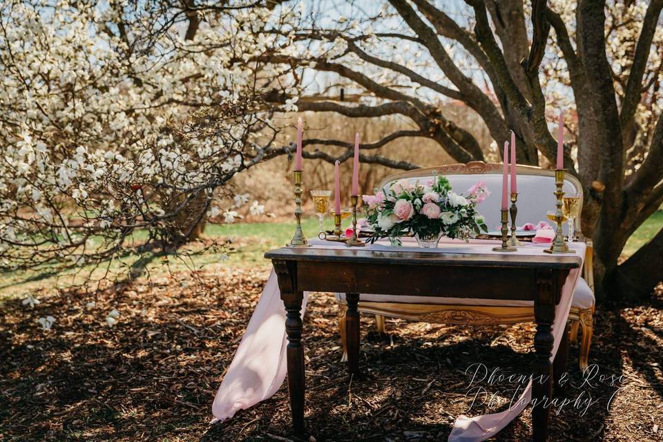 Spring Magnolia Wedding