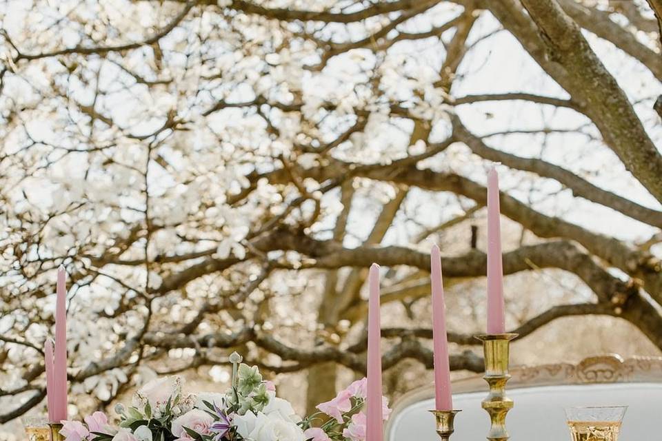 Spring Magnolia Wedding