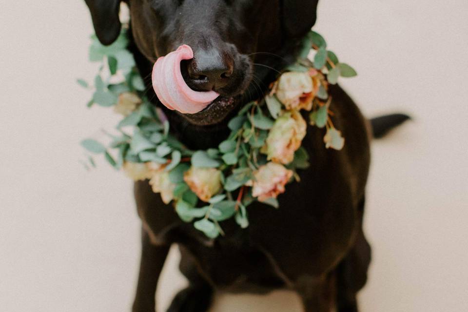 Wisconsin Summer Barn Wedding