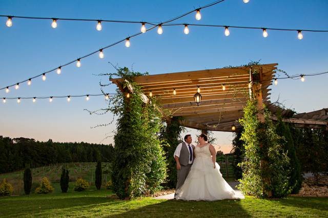 Vineyard Wedding