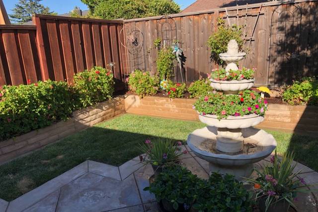 Back Yard Wedding