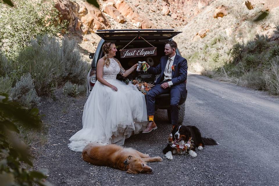 New Mexico Elopement