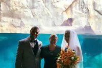 A zoo wedding