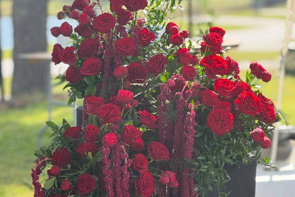 Flowers of Marietta