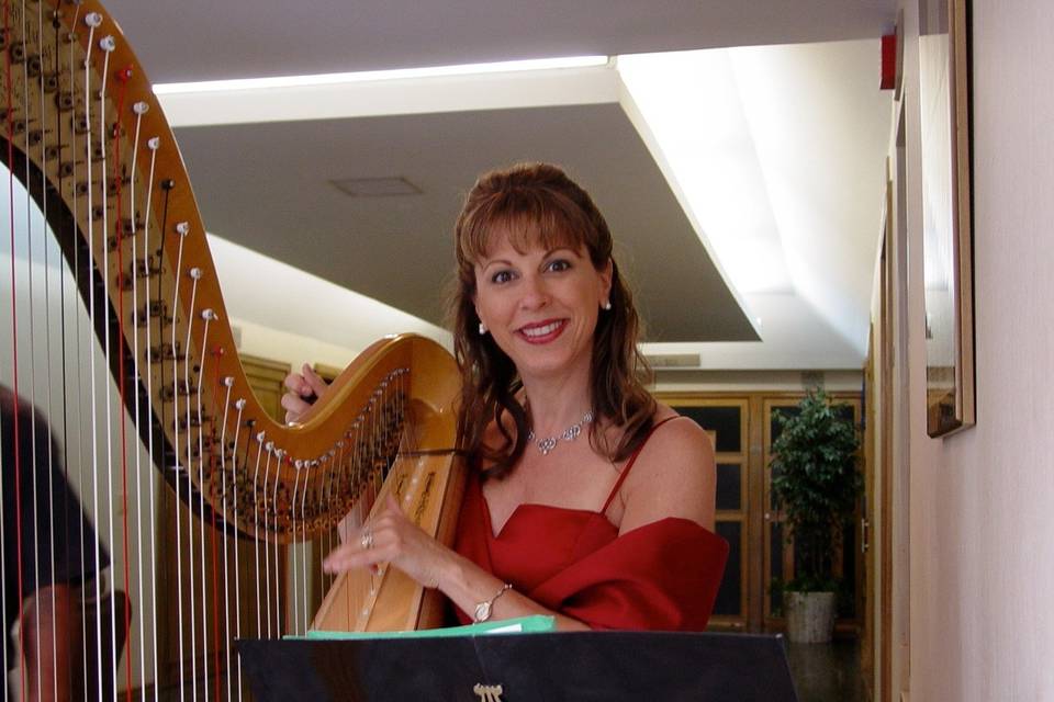 Harpist