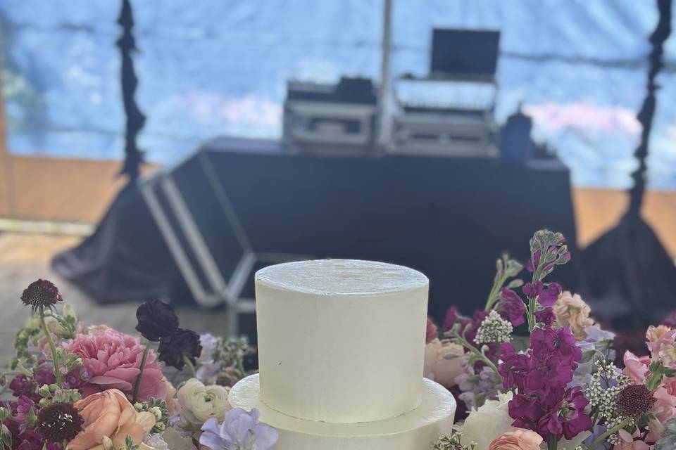 Strawberry Cake w/IMBC