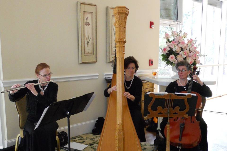 Harp, Flute and Cello Trio