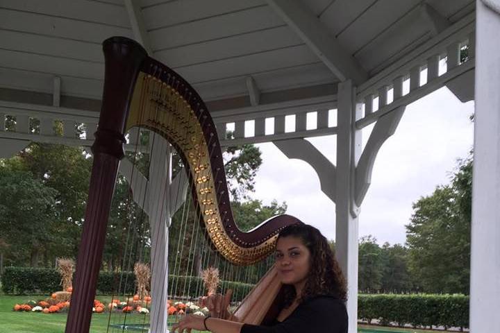 Wedding harpist