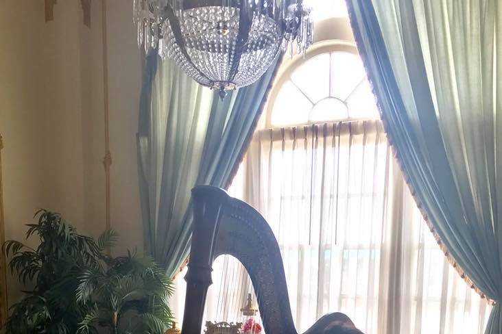 Harpist in hotel