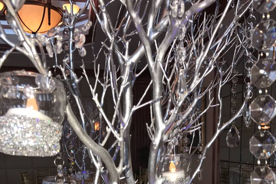 Silver Manzanita Tree Rental