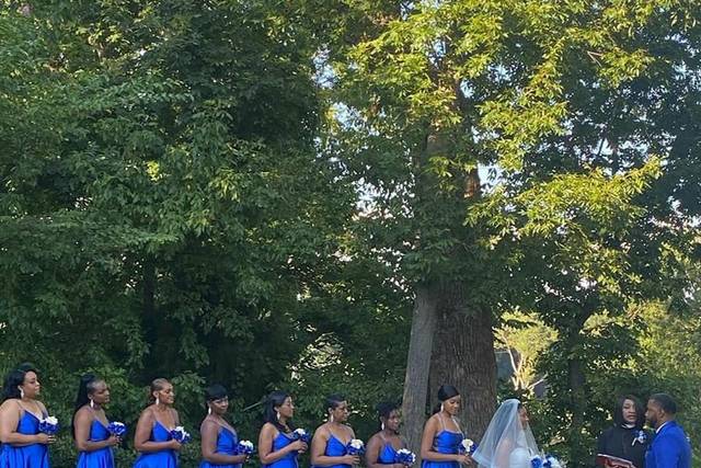 A sea of blue