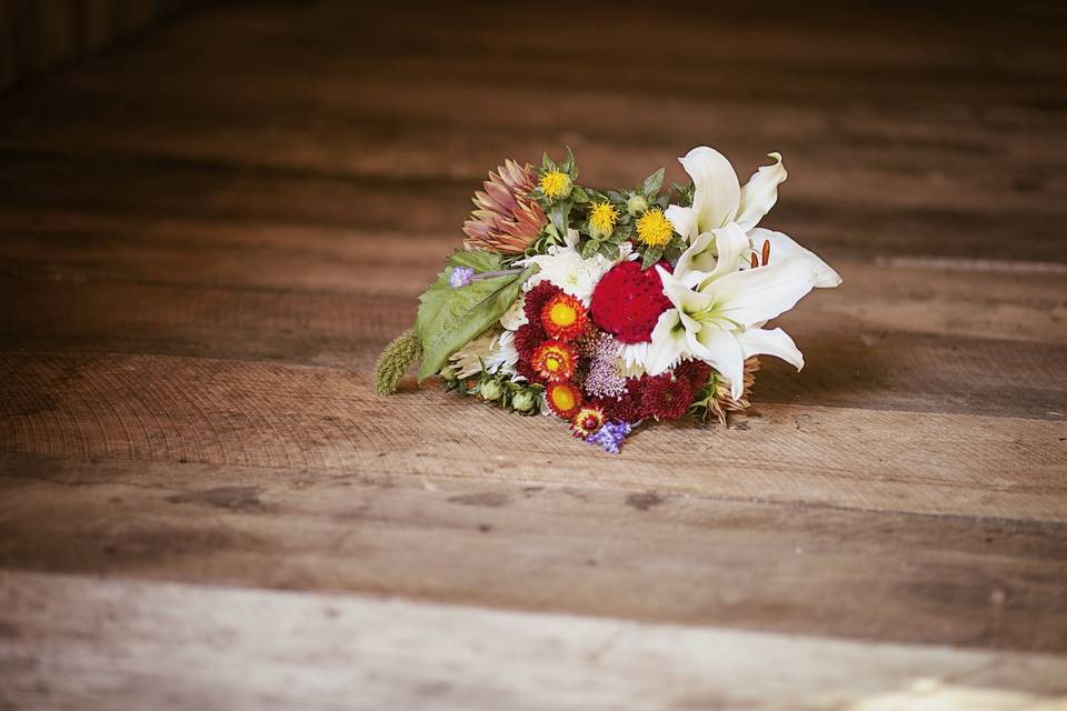 Weis Photography, LLC