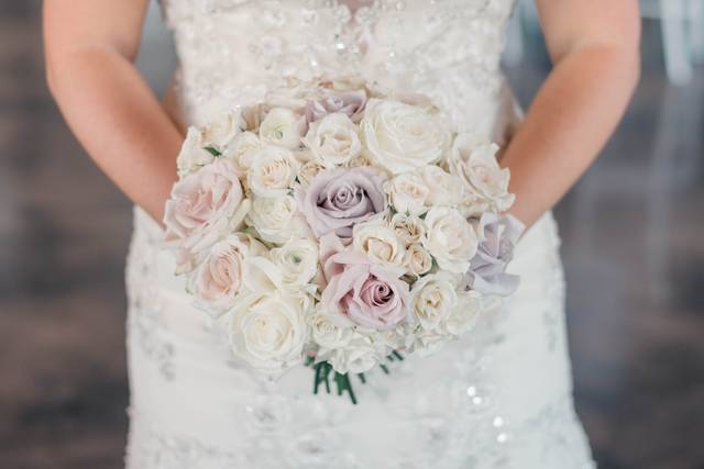 Tasha Alanna Photography