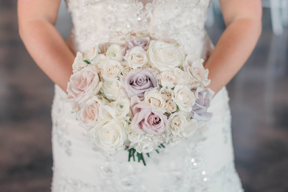 Tasha Alanna Photography