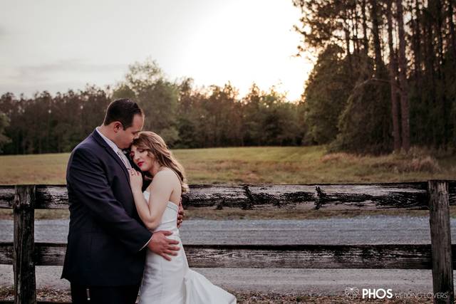 Vast field in the backdrop