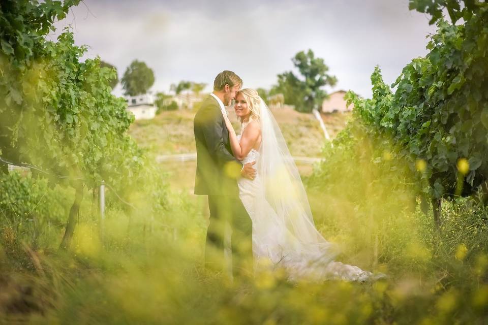 Bel Vino Winery by Wedgewood Weddings