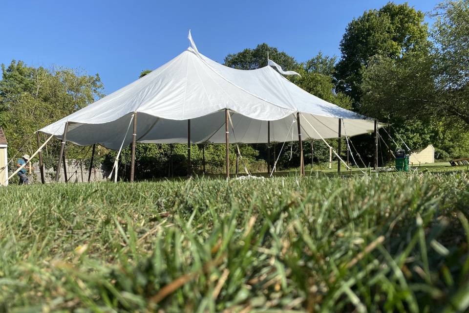 Backyard tent setup