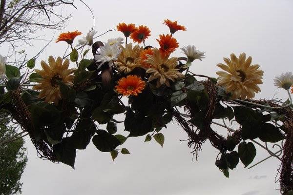 Flowers By Kathy