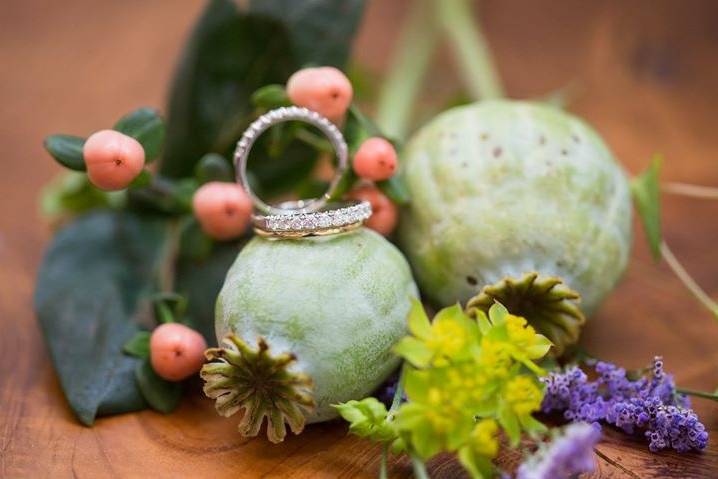 Wedding bands | Photo by Melissa Shook