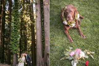 Jessamyn Harris Photography