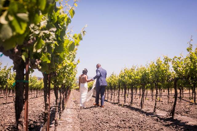Gloria Ferrer Winery, Sonoma