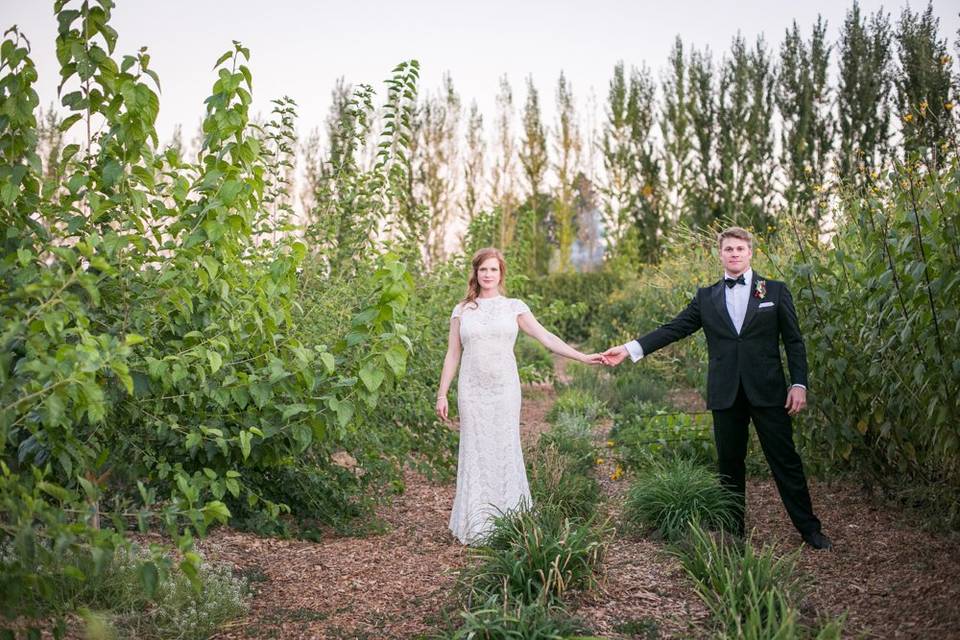 Napa Valley Vineyard Wedding