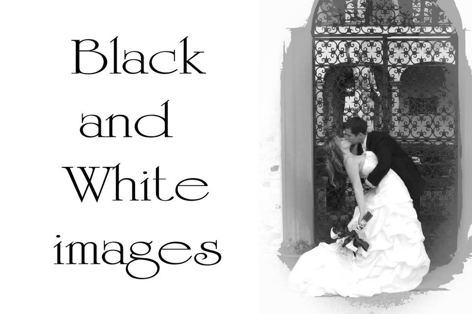 Wedding Photography by Elizabeth Murphy