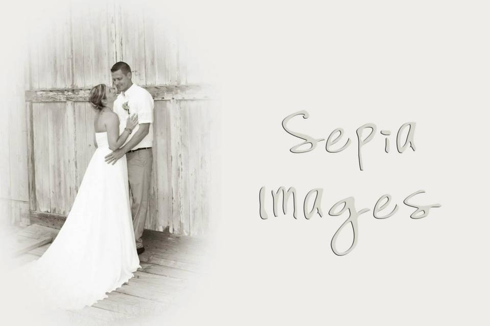 Wedding Photography by Elizabeth Murphy