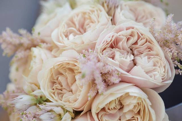 Magical Blooms