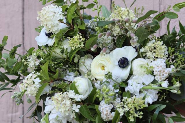 Magical Blooms
